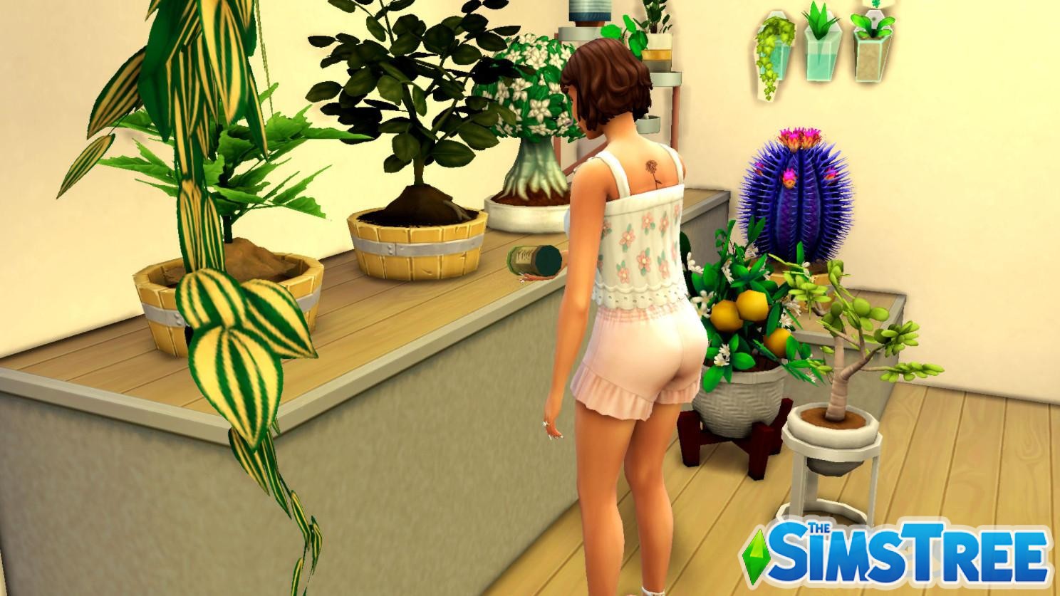Создание функциональных домашних растений с помощью Прививания в Sims 4