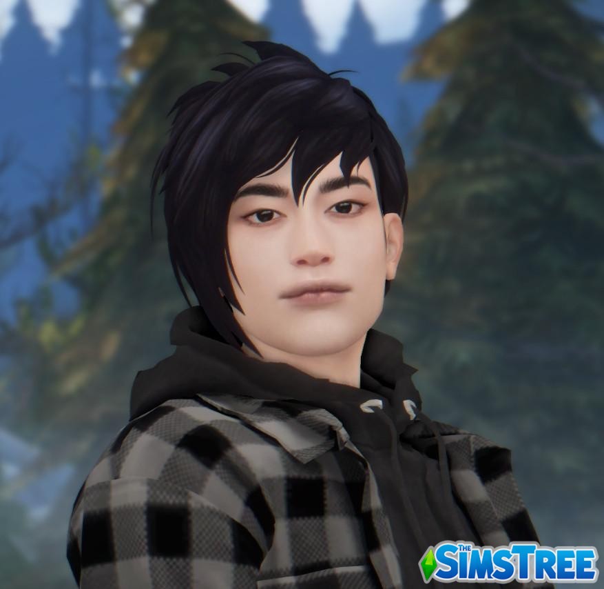 Коллекция мужских героических причесок от WistfulCastle для Sims 4