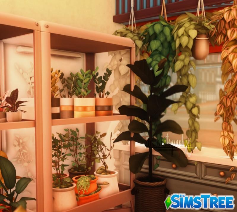 Магазин цветов для расширения Комнатные растения от simnematographygj для Sims 4