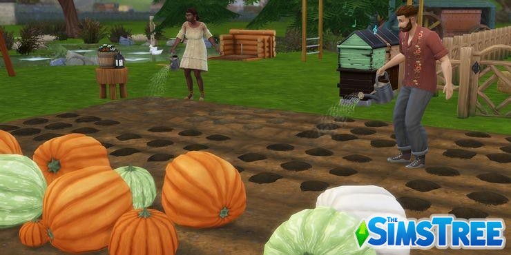 Мод Фермерский город Farmland против Sims 4 Загородная жизнь