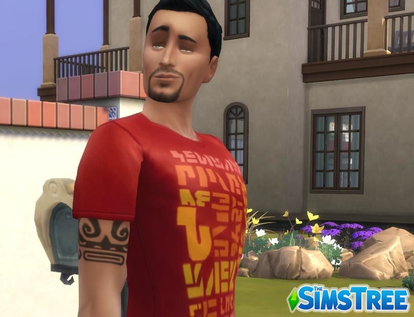 Мод «Реалистичный развод» от Zero для Sims 4