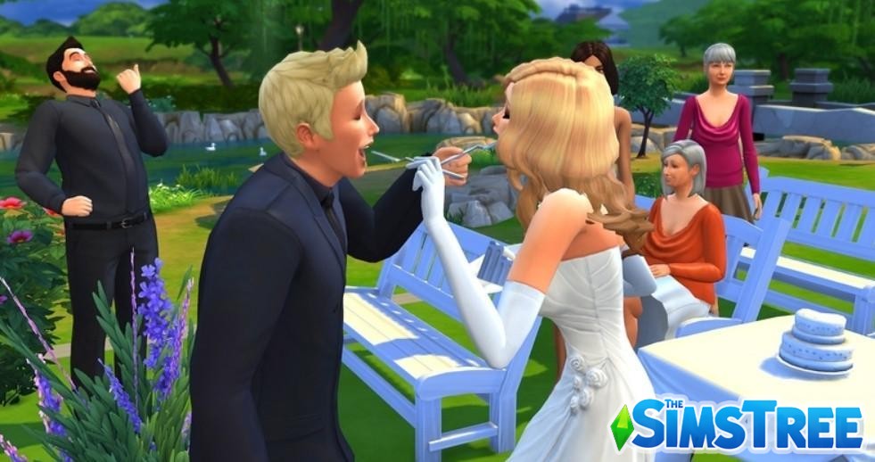 Набор модов для Свадебных историй от bienchen для Sims 4