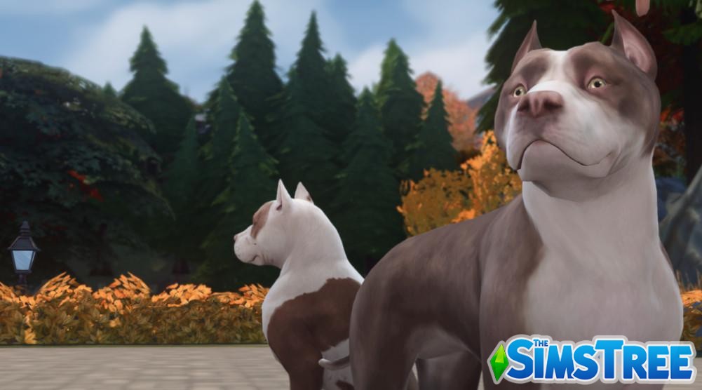 Виды удобрений и их использование в Sims 4